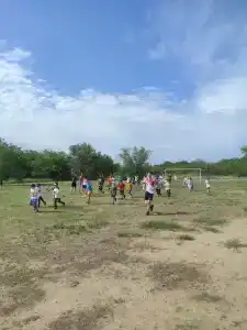Зеленая Волна - 14