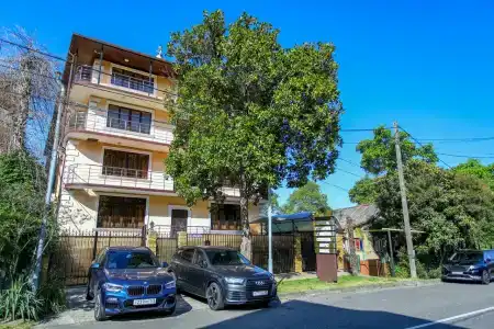 Элизабет - 82