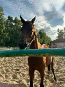 Спальный корпус Коверши - 13