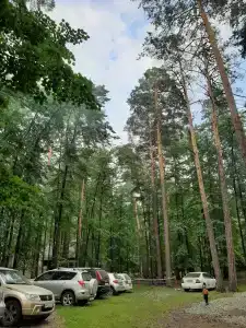 Коттедж БЕРЁЗКА на озере Большой Кисегач - 7