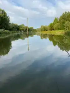 Голден Фиш - 39