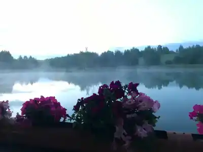 Экоферма в Василево - 40