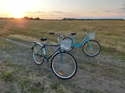 Иголка Кэмп - 4