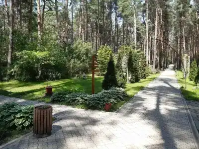 Чайка - 2