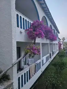 Utopia Beach Club - 6