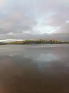 Светлячок - 21