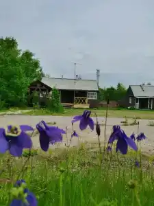 Байкальский сердолик - 17
