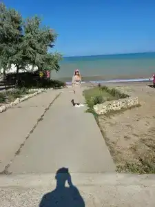 Дом друзей - 91