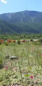 Кайа - 26