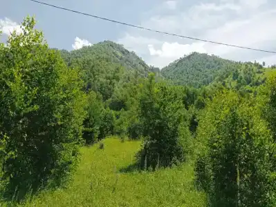 База отдыха у Григорьевича в Горном Алтае - 34