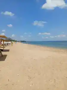 Коралл - 31