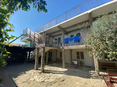 Дамир - 31