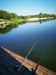 ГринЛандия - 23