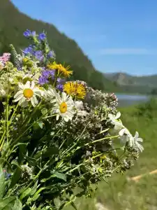 Ологужан - 32