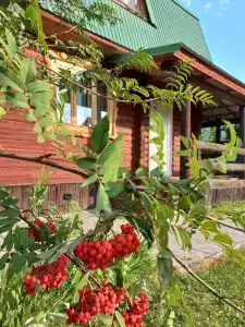 Айский - 5