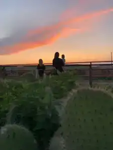 Страусиная ферма Экзотик - 18