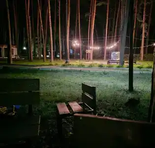 Сосновый бор - 24