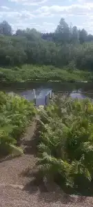 Forest river - 24