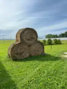 Александровский спас - 67