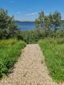 Банный Остров - 77