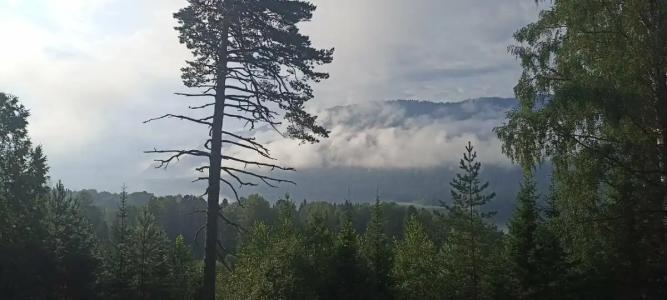 Усадьба Эдельвейс - 30