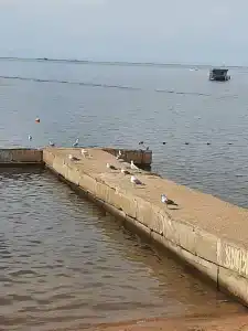 Динамо - 4