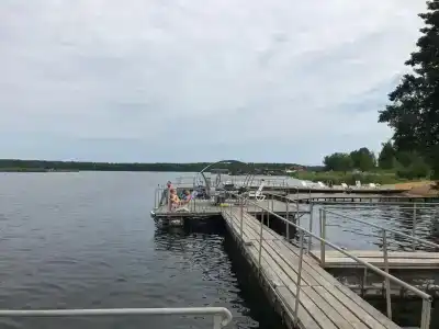 Зелёная роща - 89