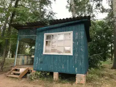Тополя - 32