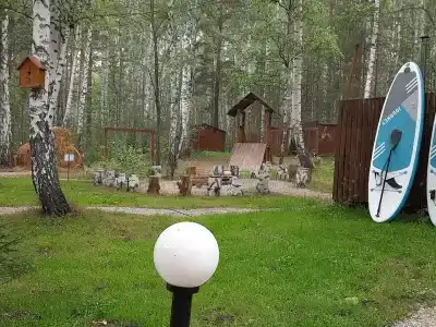 Лесотерапия - 14