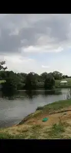 Бояринцево - 67