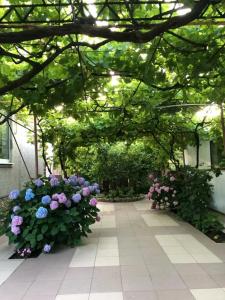 Летний сад - 10