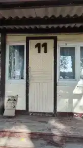 Зеленый берег - 22