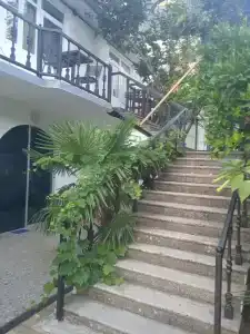 Мини гостиница Три Кипариса на Терешкова - 53