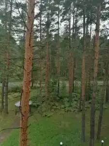 Баринова Роща - 4