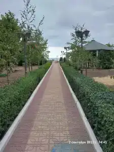 Энергетик - 39