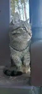 Озерная 38 - 26