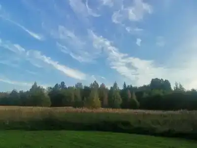 Курмойла - 26