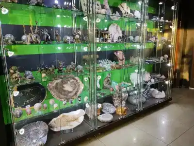 Апельсин - 47