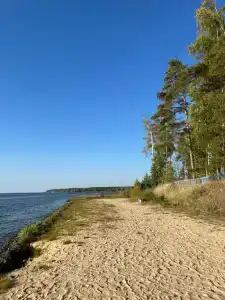 Чайка - 32