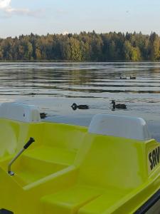 Подмосковье - 79