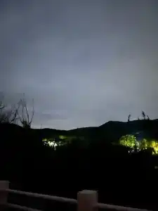 Лиманчик - 41