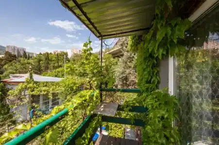 Ласточка - 18