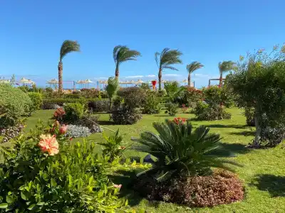 Hawaii Paradise Aqua Park Resort - Families and Couples Only - 60