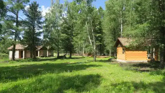 Кедровка - 0