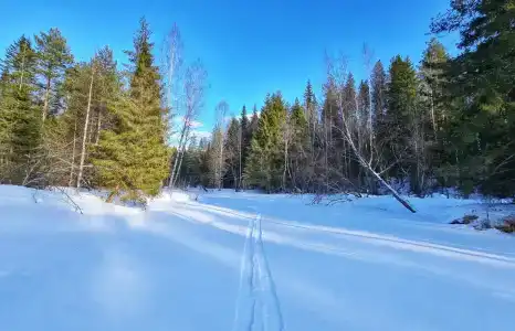 Кокуй - 43