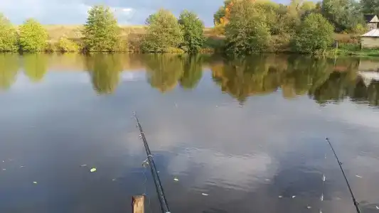 Бояринцево - 17