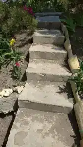 Замок грез - 52