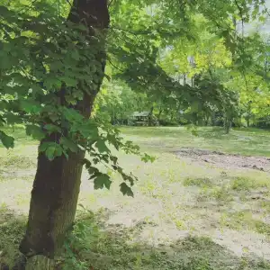 Сытый Кот - 27