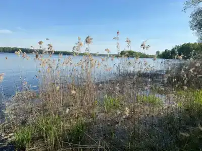 Кемпинг Парус - 26