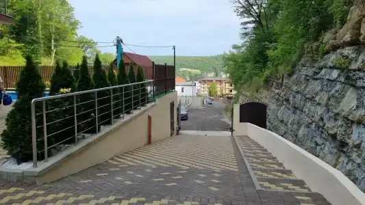 Форест - 41
